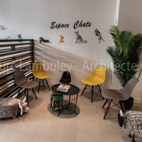 clinique-veterinaire-9